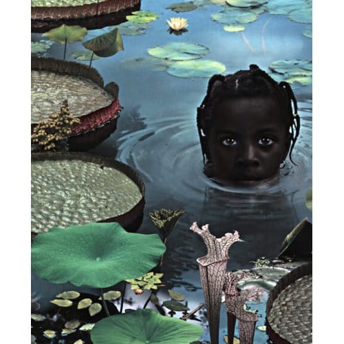 Ruud Van Empel - 25 Years Of Photo Works 1995-2020
