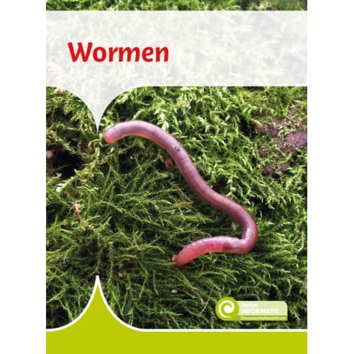 Wormen - Junior Informatie - Geert-Jan Roebers