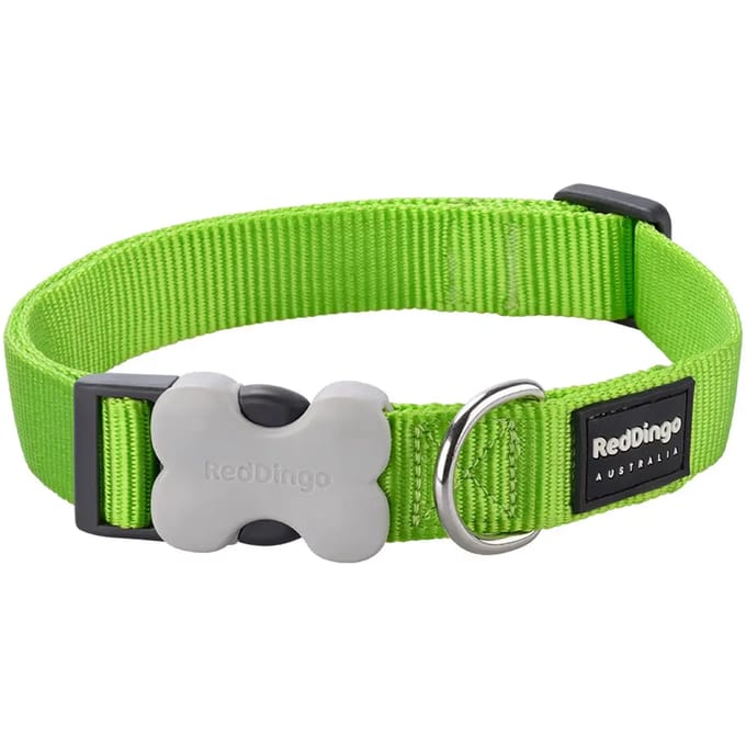 Verstelbare hondenhalsband Red Dingo