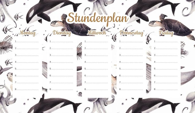 Wallvy - Magnetisch Lesplanbord - 30x17,5cm - Personaliseerbaar - Meerdere Talen - Droog Uitwisbaar