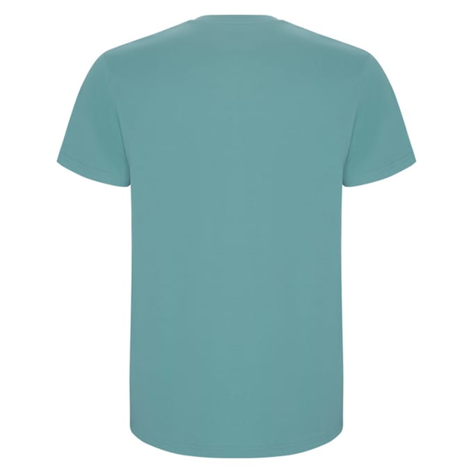 Roly Heren Stafford T-Shirt (Stofblauw)