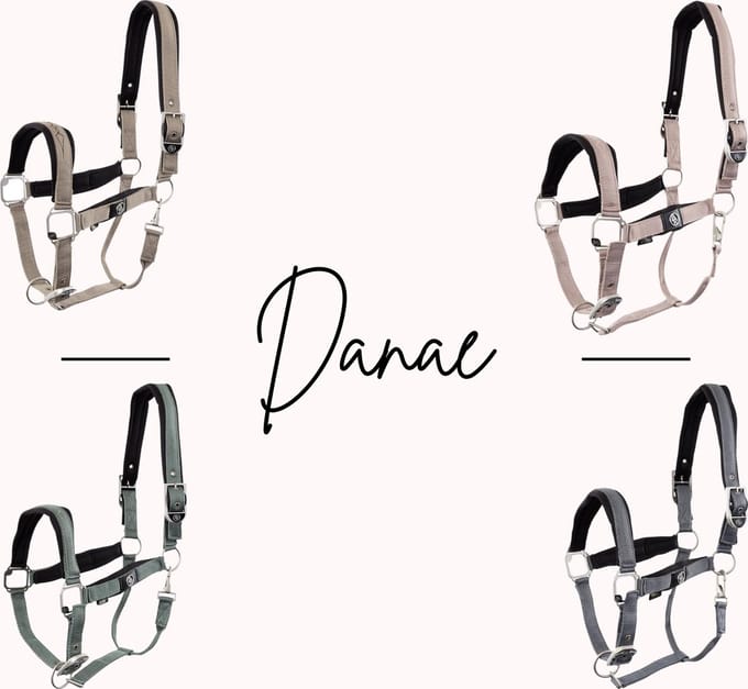 BR Halster Danae Pony Adobe Rose