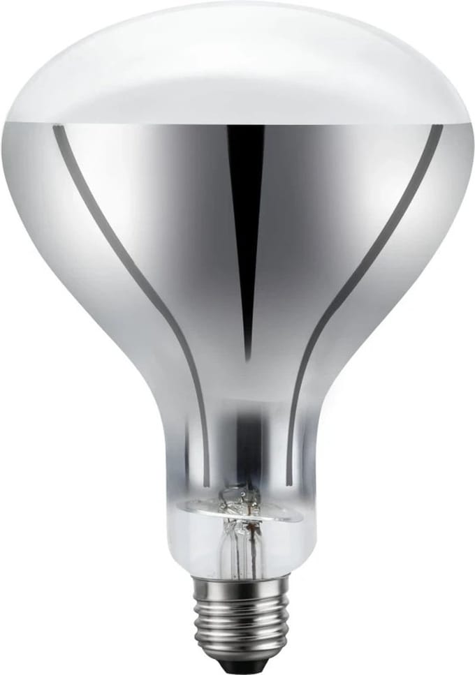 Schiefer E26 R120 Reflector Gloeilamp | 200W 2700K 220V 360° | Dimbaar