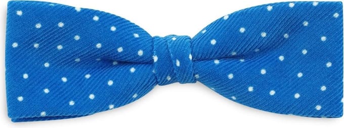 We Love Ties - Strikken - Strik Mister Ripley - blauw / wit