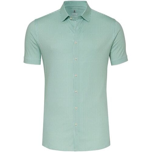Desoto Overhemd Essential Stripe Kent Collar Groen / male
