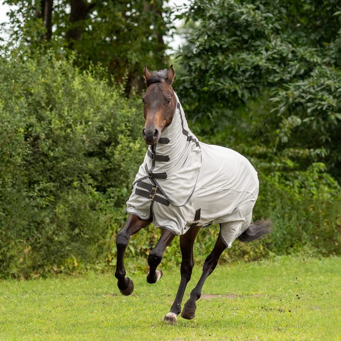 Busse SUNSHINE II Paddock Vliegendeken Silver/Anthracite 145/195 cm