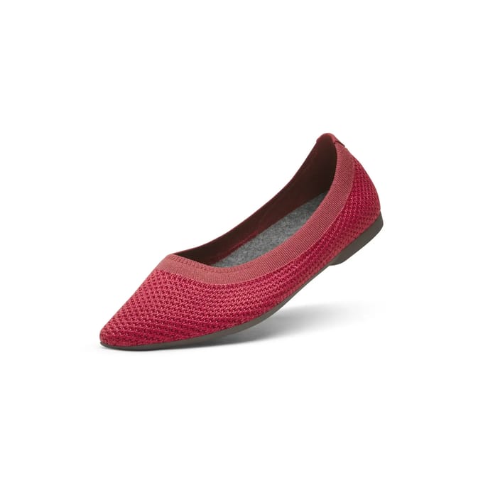 Dames ballerina's Allbirds Breezer Point