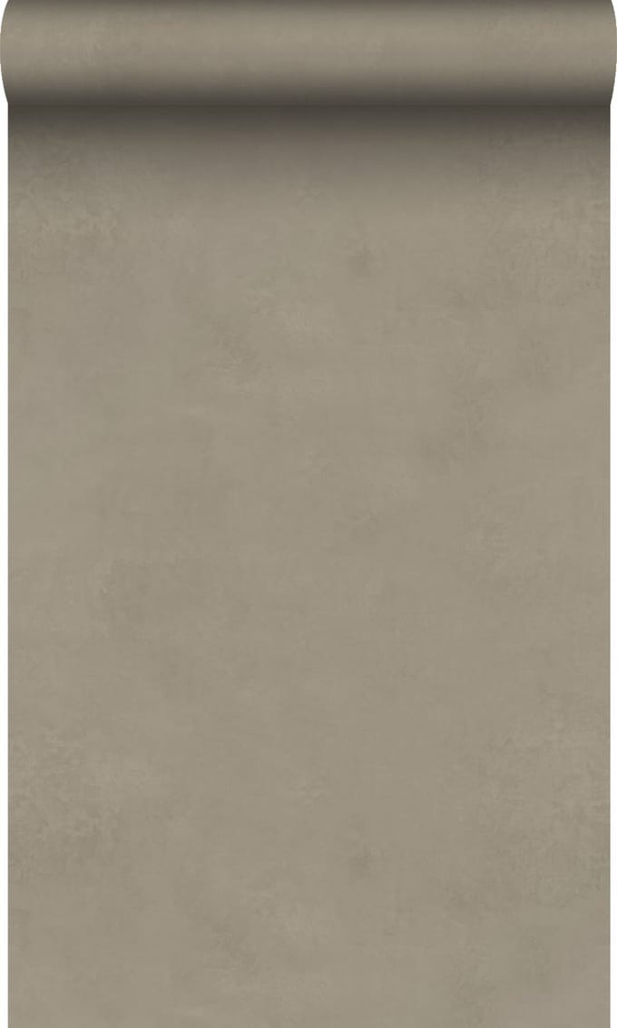 Origin Wallcoverings behang leemstuc taupe - 50 x 900 cm - 348067