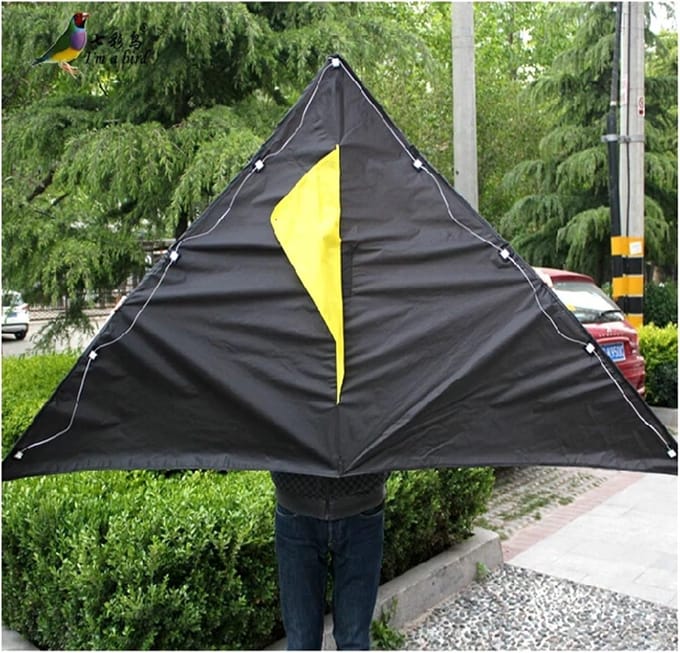 Delta Vlieger - Grote Vlieger - Buiten Spelen - Sterke Constructie - 200cm Breed - LED