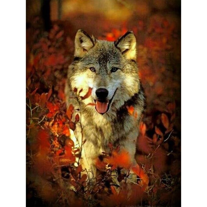 Peinture diamant loup rond complet, broderie diamant 20X30CM brown