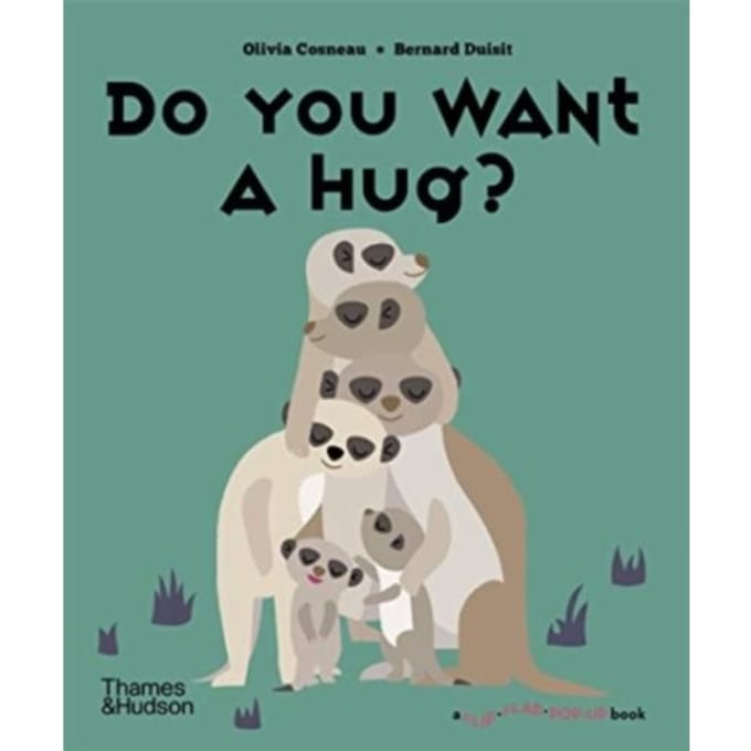Do You Want A Hug? - A Flip Flap Pop Up Book - Olivia Cosneau