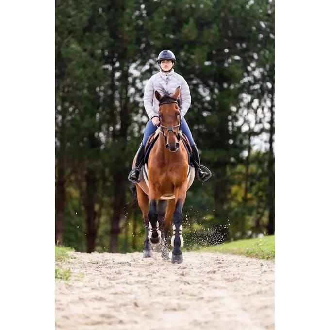 Donsjack Horse Pilot Softlight