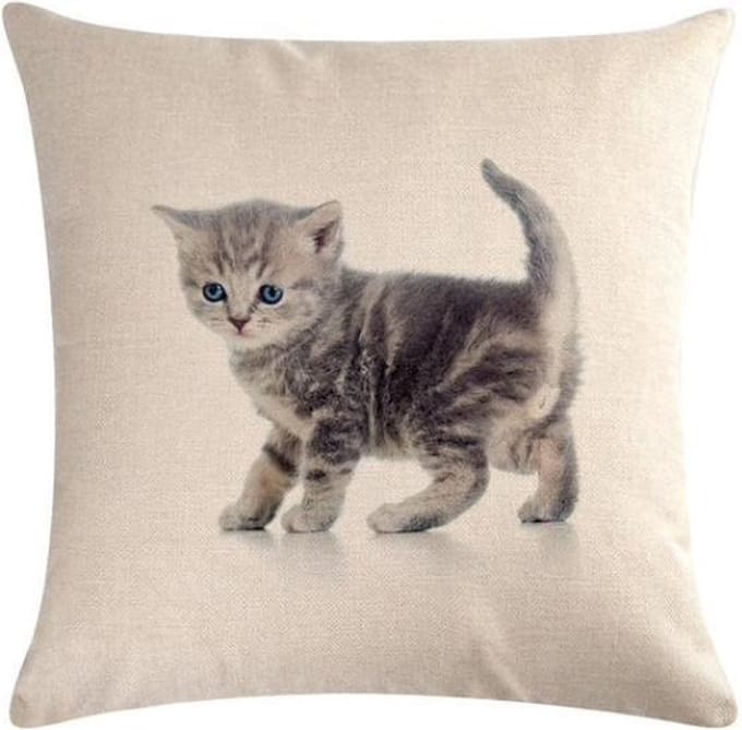 Kussenhoes schattige lopend grijze kitten (500240)