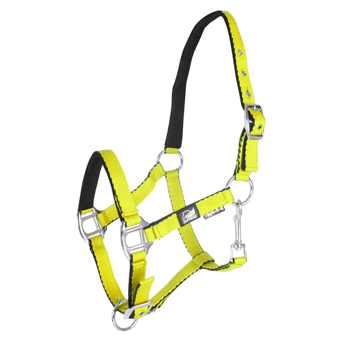 Halsband voor veulen met dubbele afstelling Supreme