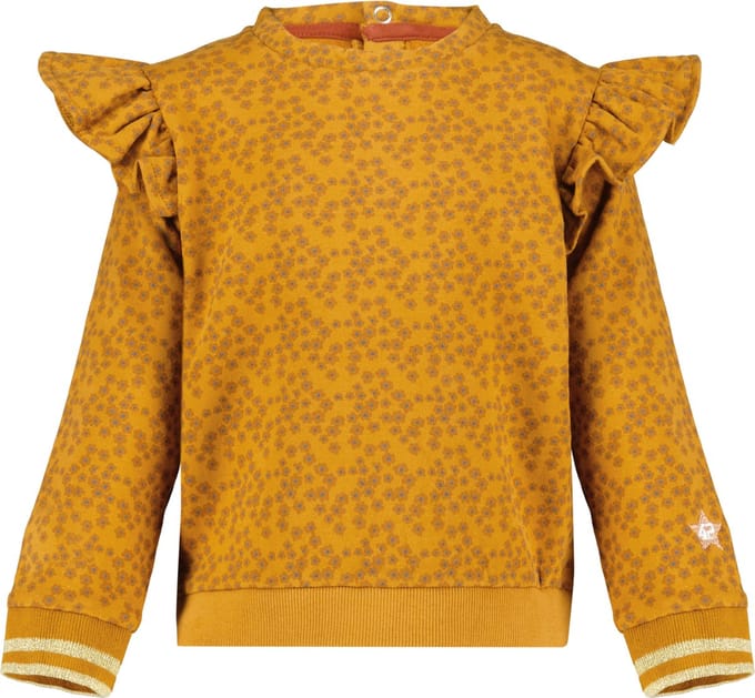 4PRESIDENT Sweater meisjes - Cathay Spice Aop - Maat 92 - Meisjes trui