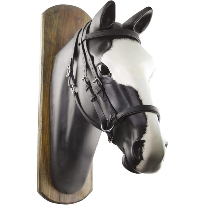 Biothane hoofdstel voor paard Umbria Equitazione
