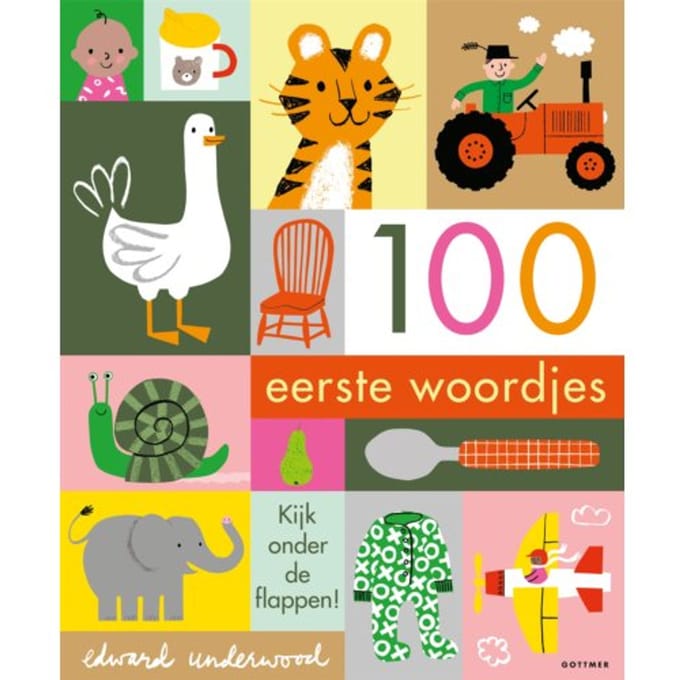 Boeken 100 Eerste woordjes Multi unisex