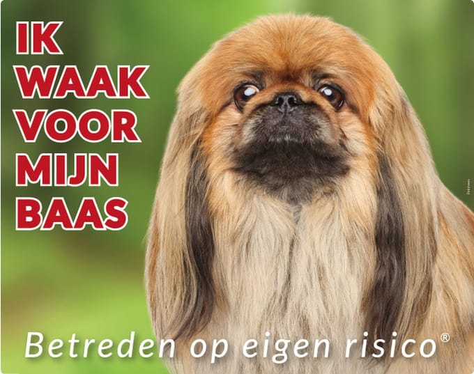 Pekinees Waakbord - Ik waak voor mijn baas