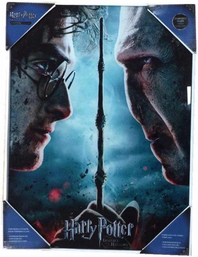 SD Toys Harry Potter Glass Poster Harry & Voldemort 30 x 40 cm Poster & Wallscrolls