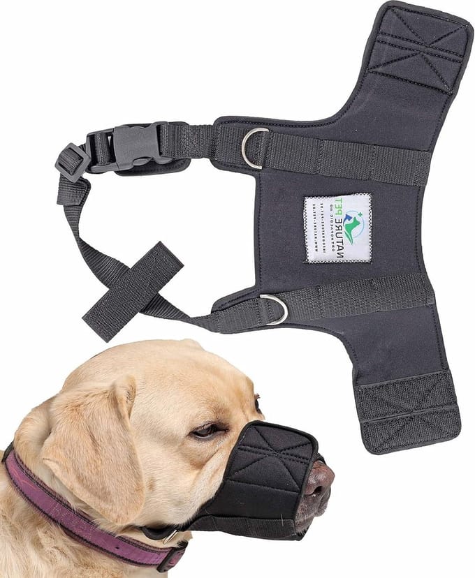 Soft Maulmand van neopreen (L) voor huisdieren - Nature Pet dog muzzle