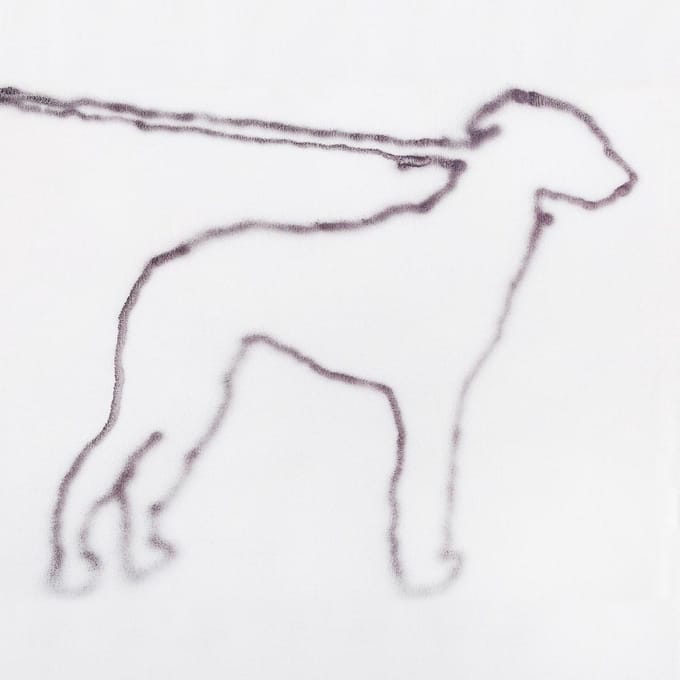 Portrait Of A Dog - Jonah Yano
