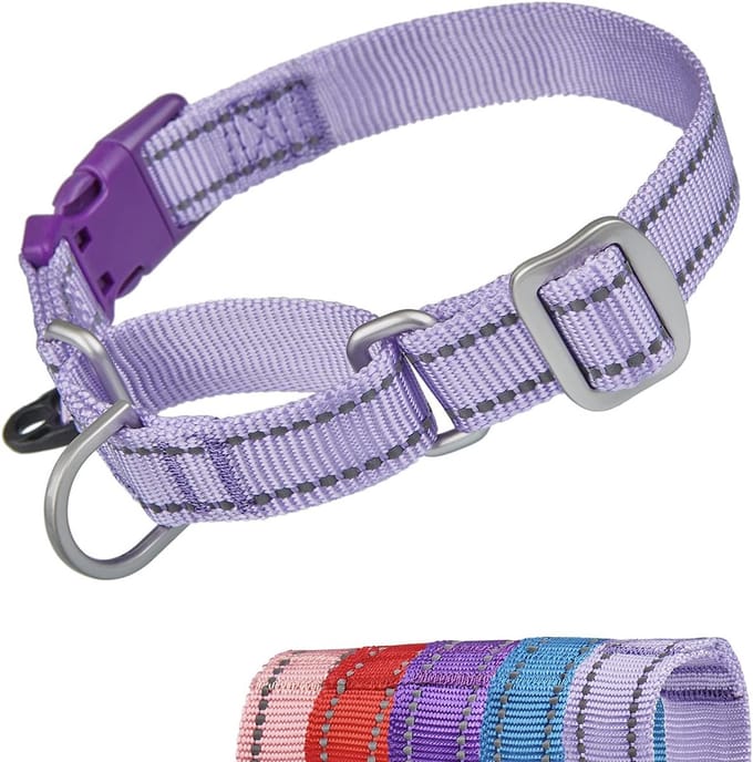 Reflecterende Martingale Halsband voor Honden - Ontsnappingsbestendig Anti-Pull Training met Snelsluiting - Ideaal voor Smalle Hoofden, Medium Lila