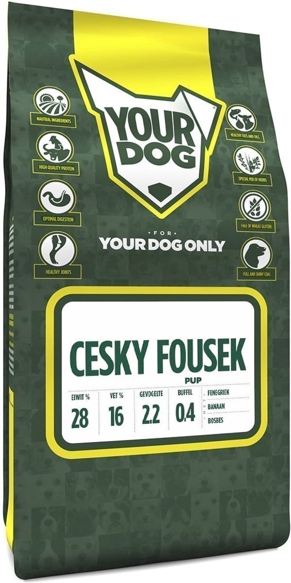 Yourdog cesky fousek pup - 3 KG