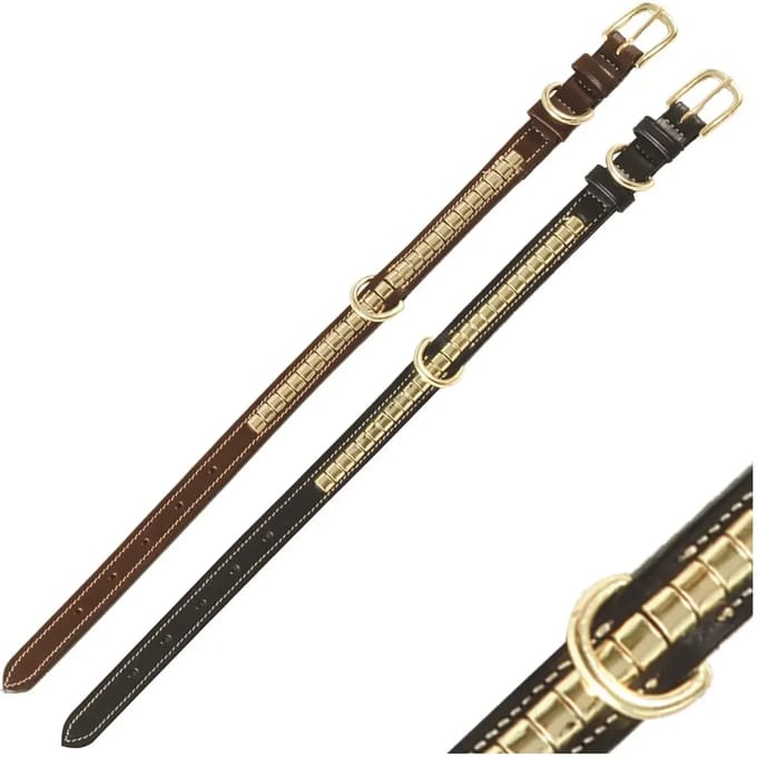 Hondenhalsband Chetak Houston
