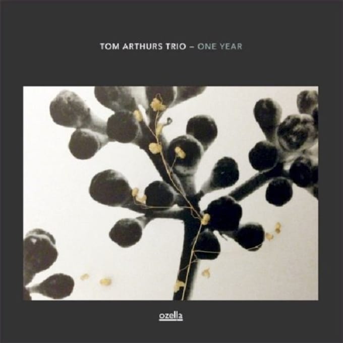 Tom Arthurs Trio - One Year (LP) (Limited Edition)