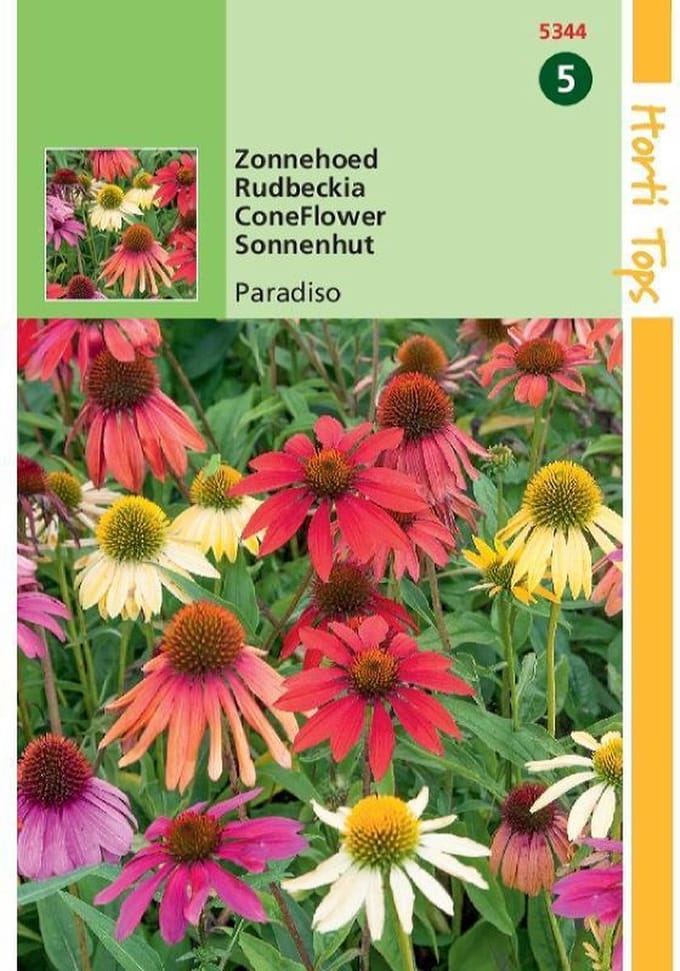 Hortitops zaden - Echinacea, Zonnehoed Paradiso