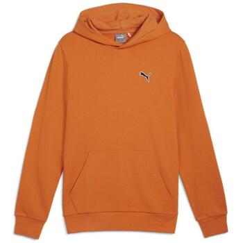 Capuchon sweaters Puma Better
