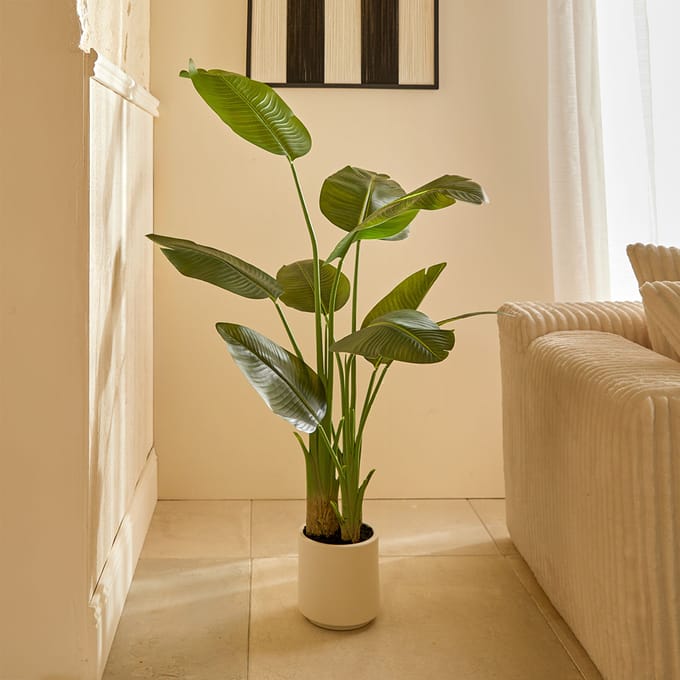 Eazy Living Kunstplant Bananenplant H140 cm