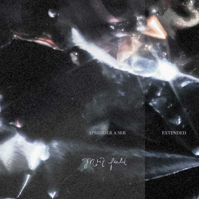 Mint Field - Aprender A Ser: Extended (LP) (Coloured Vinyl)