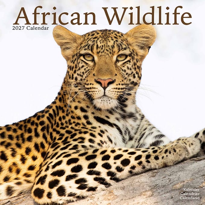 African Wildlife Kalender 2027