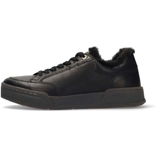 Lage Sneakers Salamander -