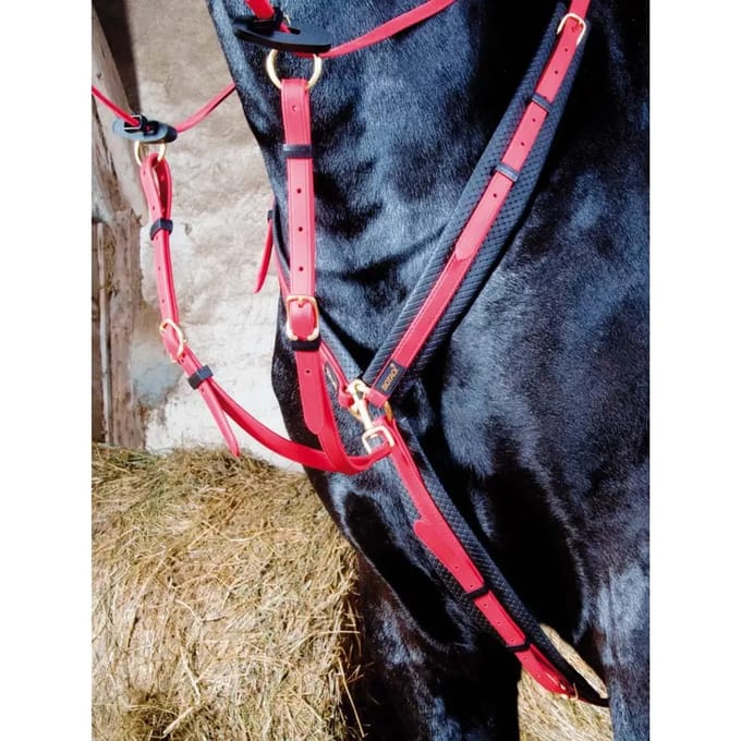 Jachthalsband voor paarden T de T