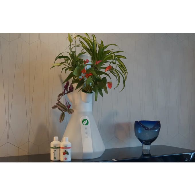 6-gewassen moestuin Home Potager
