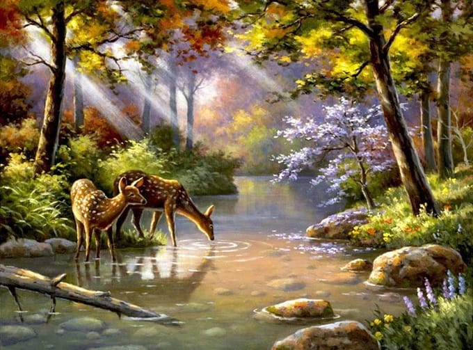 Schilderen op nummer Volwassenen Herten in de natuur - 40 x 50 centimeter - kerstcadeau