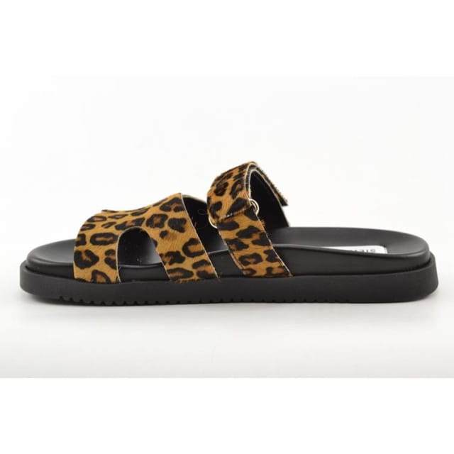 Steve Madden Missile-l Sandals Leopard Maat: 38 | Sandalen Outlet | Dames | Zwart