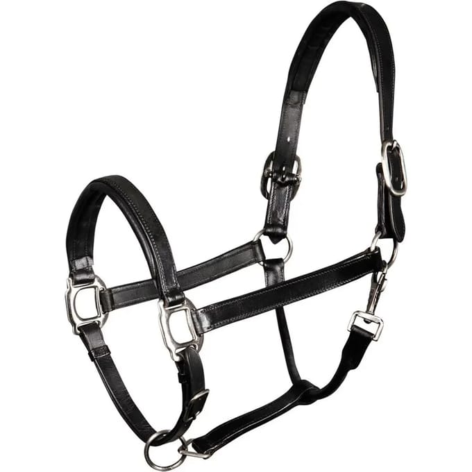 Gewatteerd lederen halster voor paarden Harry's Horse