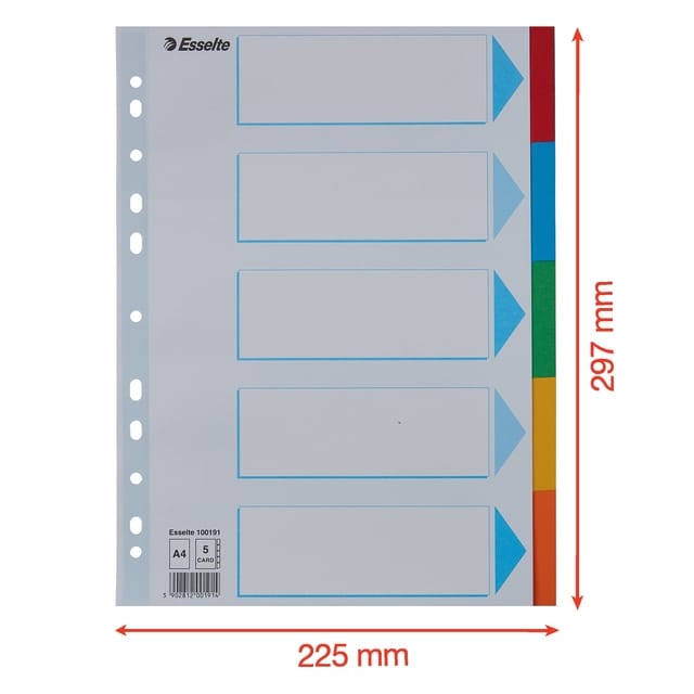 Esselte Duurzame KartonTabbladen - Universele Perforatie: 11-gaats - 5 Tabs - Gekleurd