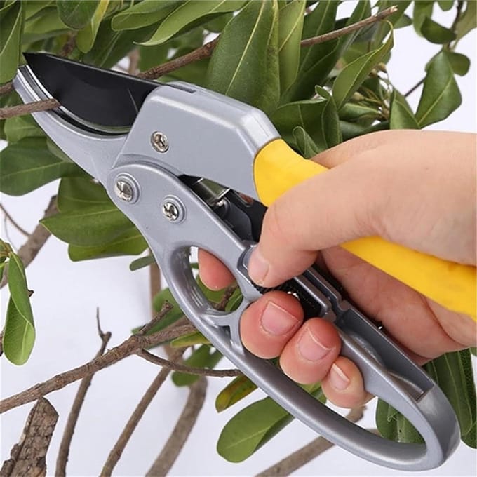 Tuinschaar - Snoeischaar - Takken Snoeien - Ergonomische Handgrepen - One Size - One Color