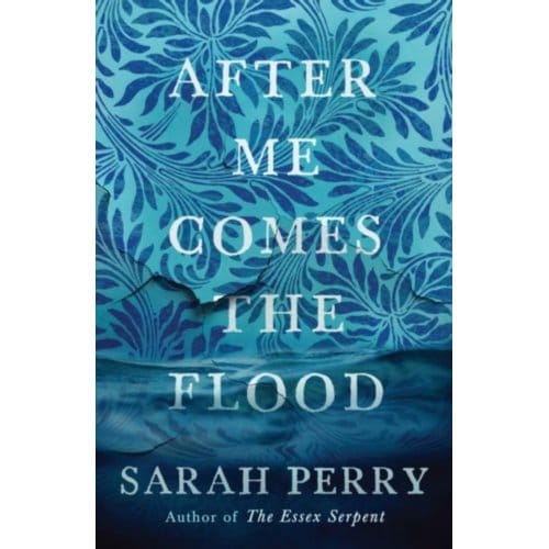After Me Comes The Flood - Sarah Perry