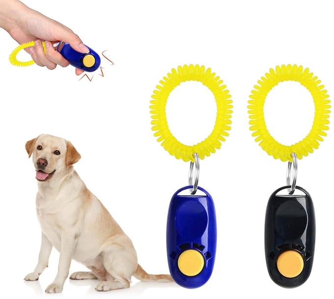 Dailygoods- Clicker Professionele Vingerclicker - Hondentraining - Kattentraining - Trainingstool - Elastische Armband - Sleutelring Bevestiging - Trainingshulpmiddel
