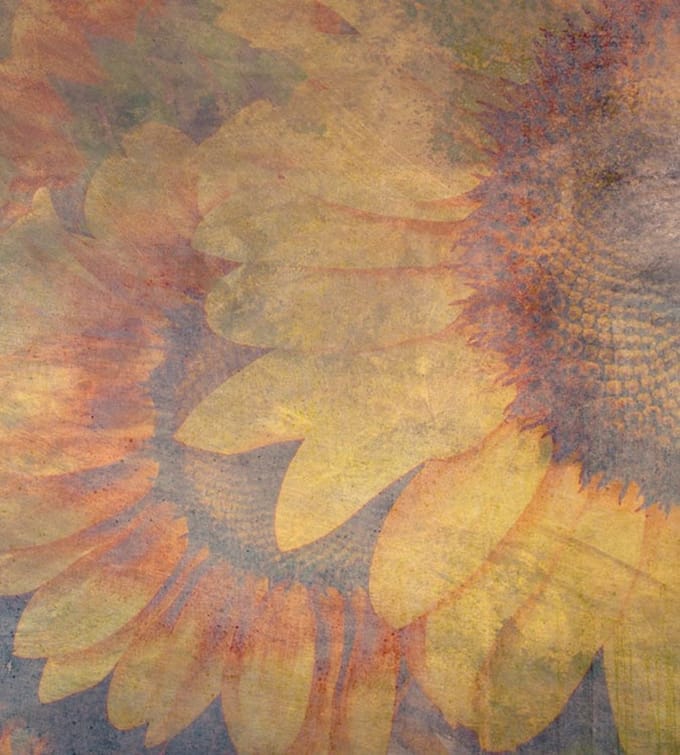 Fotobehang - Sunflower Abstract 225x250cm - Vliesbehang