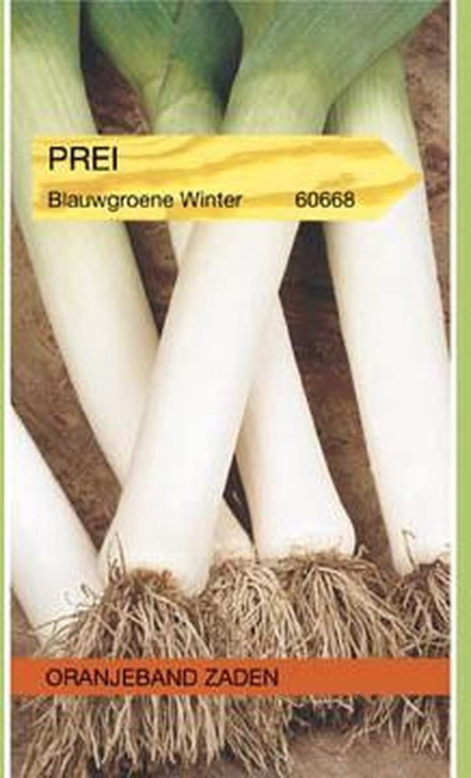 Prei Blauwgroene Winter