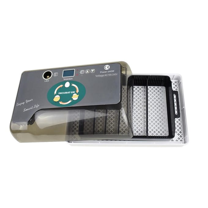 Digitale broedmachine Automatische broedmachine met eiertester Automatische eierendraaier 12 eieren Pluimvee UK Plug gray