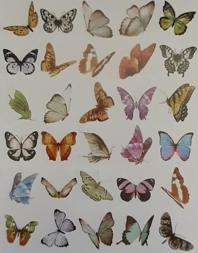 Go Go Gadget - Washi stickers - Bullet journal - Junk journal - Scrapbook - 1 set van 60 stuks - Vlinders - Multi kleur