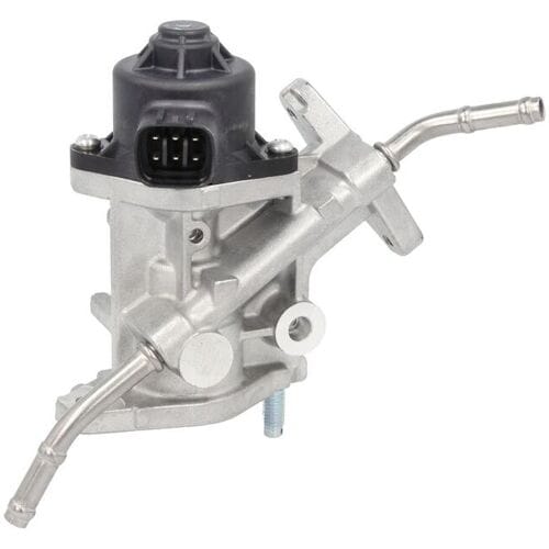 EGR-klep DELPHI EG10738-12B1