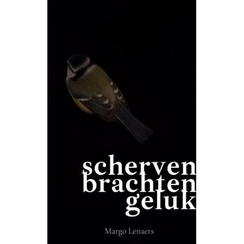 Scherven Brachten Geluk - Margo Lenaers